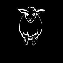 Sheep by Susanna IC